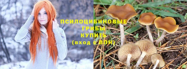 дживик Армянск