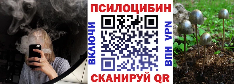 Купить  Комсомольск  Галлюциногенные грибы Cubensis 